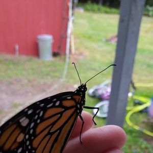 Meet your Posher, Nina